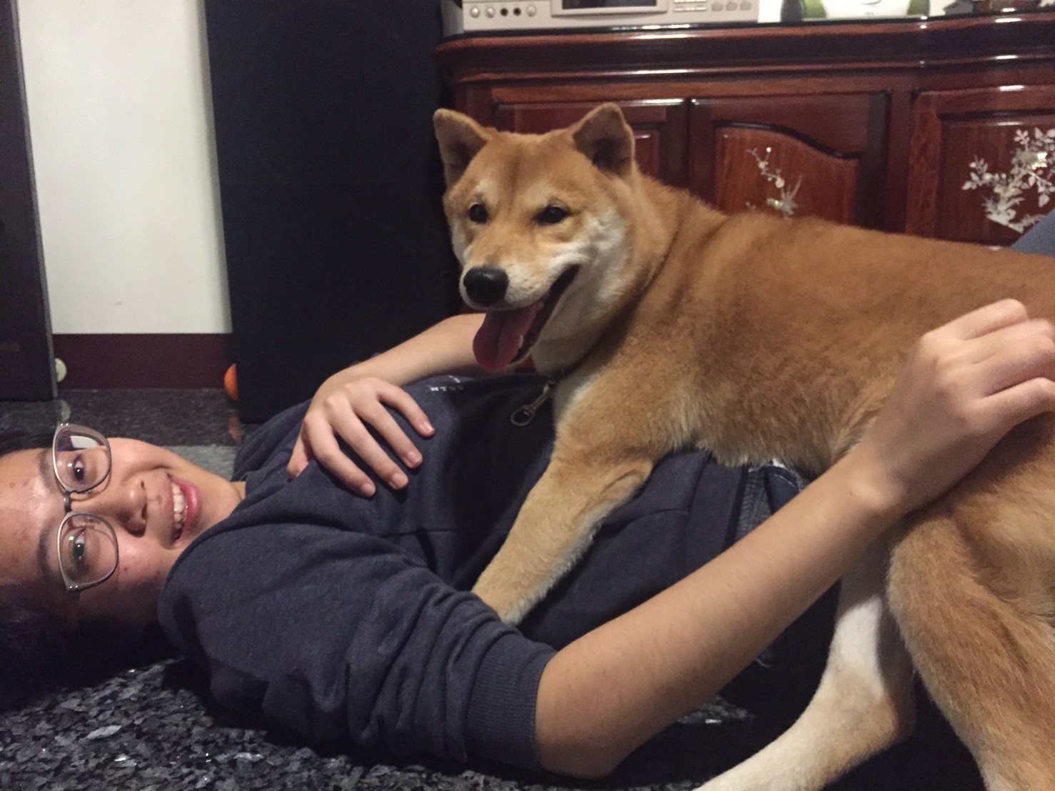 my dog and alphadog